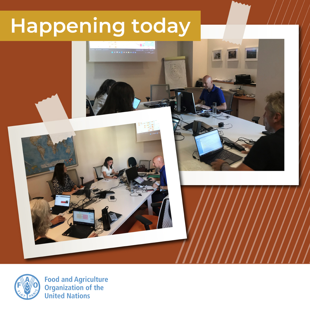FAOLivestock's tweet photo. #HappeningNow | The Quadripartite One Health Intelligence Scoping Study team is meeting to finalize a framework to operationalize global #OneHealth intelligence
Read the #OHISS preliminary high-level findings: https://t.co/41xx7Jzaxp
OHISS brochure: https://t.co/cC1Qdj1ZaY https://t.co/nNRiSjYocU