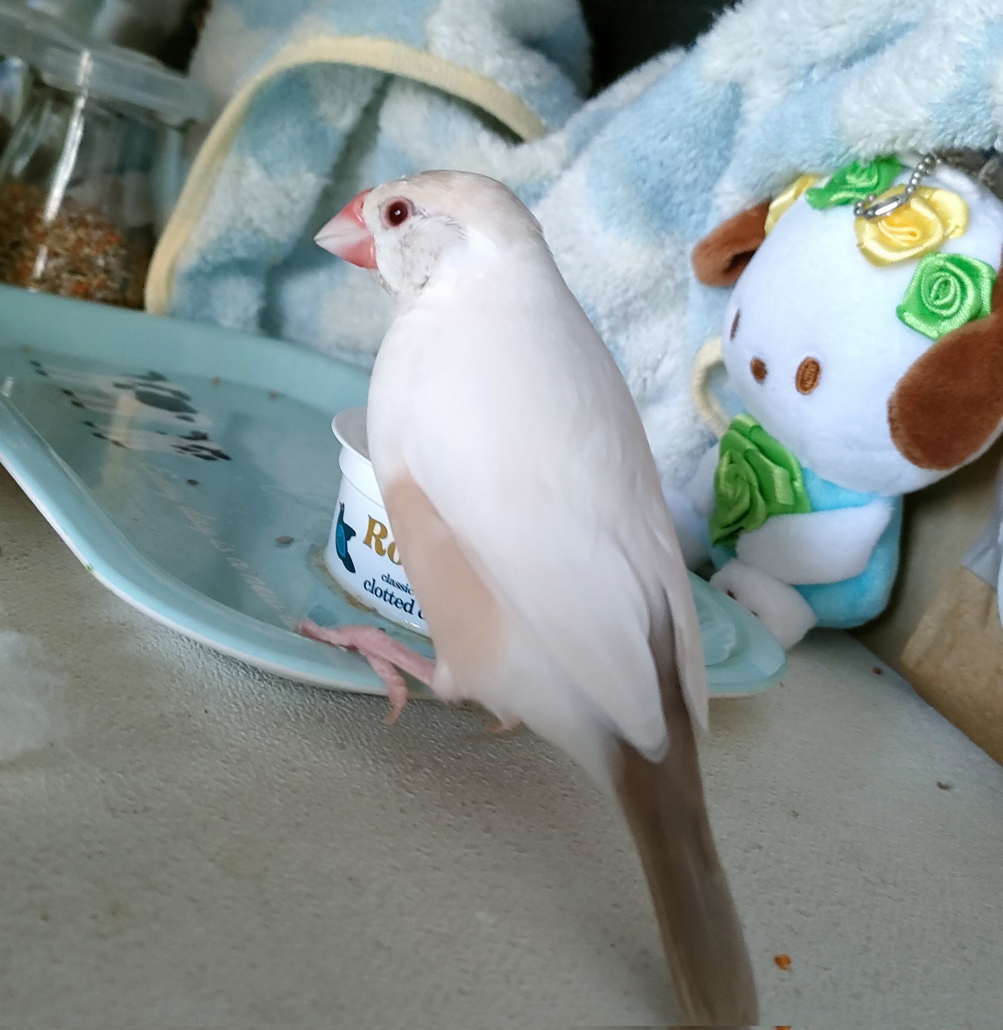 モモンガハウス(スイーツVer.3) ボア白   1950円 モモンガハウス(スイーツVer.3) ボア白 1950円