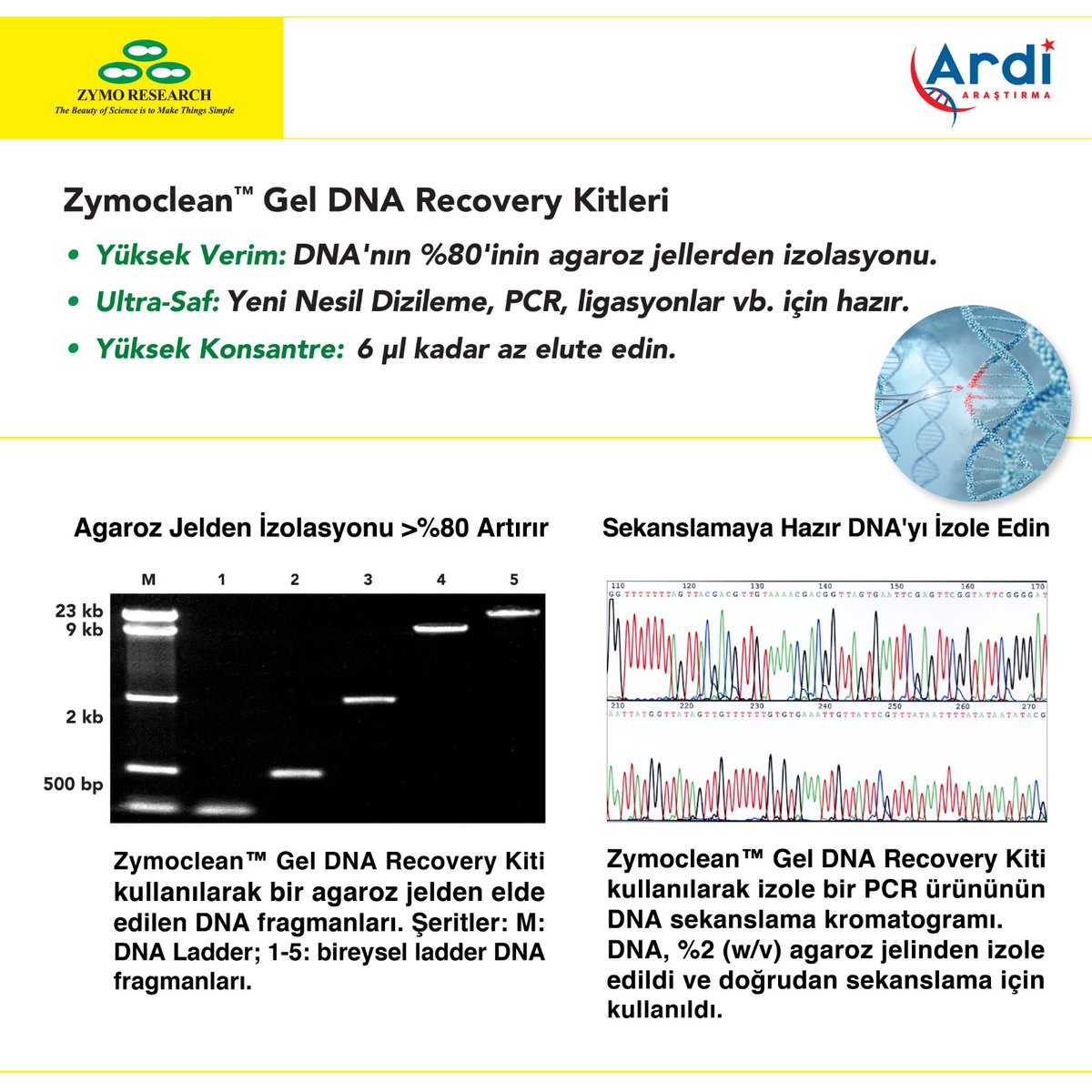 ARDiARASTIRMA's tweet photo. 🔊 Zymoclean Gel DNA Recovery Kit’i agaroz jelden hızlı ve yüksek kalitede DNA saflaştırmak için kullanılan bir kittir. Zymo-Spin teknolojisini kullanan kolonları içeren bu kit dakikalar içinde, yüksek kalitede ve saf DNA elde edilmesini sağlar

#ZymoClean #ZymoResearch #DNA #RNA https://t.co/FiUo25mgN9
