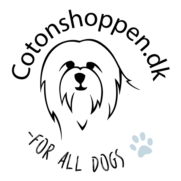 QNTM Group tweet media