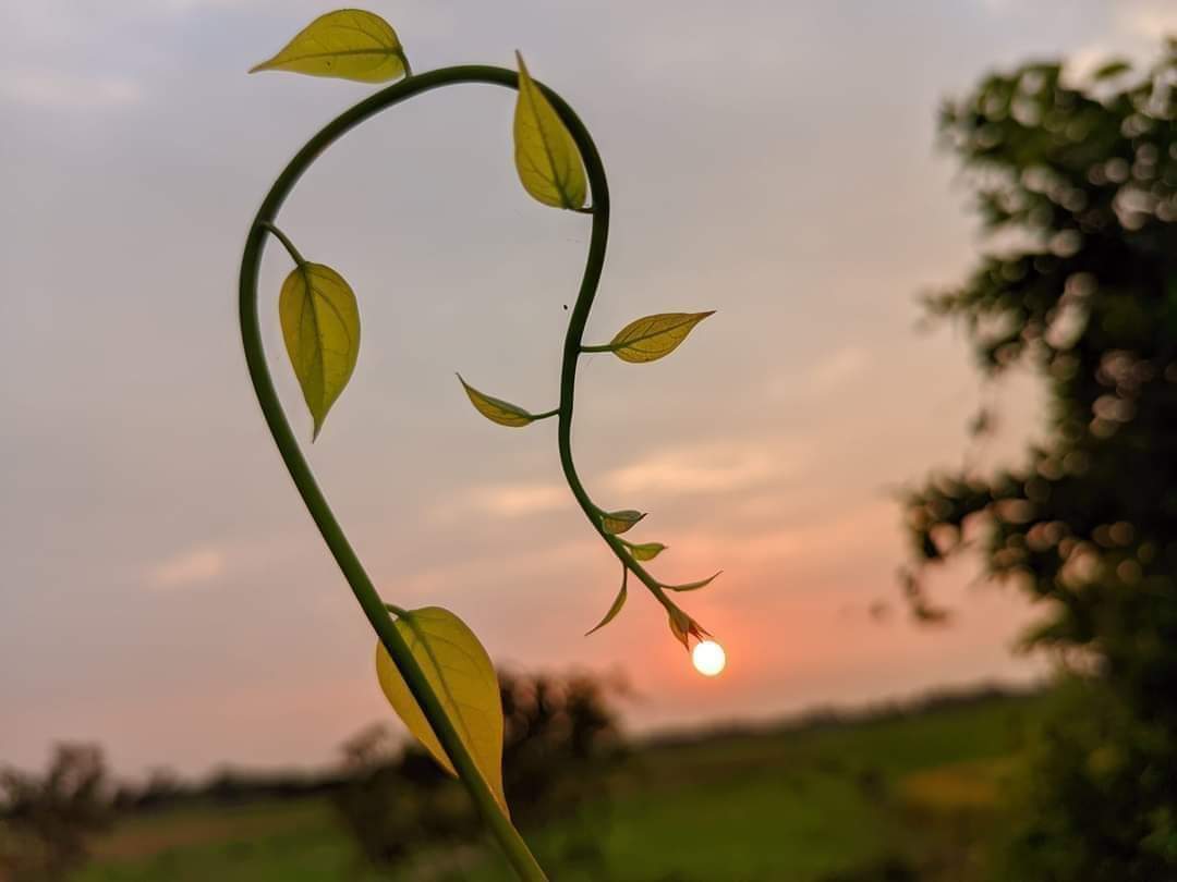 Perfect timeng 📸 #nature #photography #BeautifulWeather