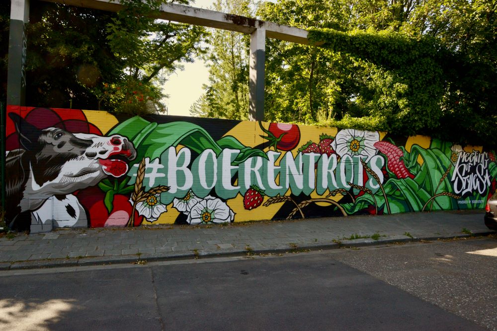 Vanaf vandaag kan je in Antwerpen een kleurrijke ode aan Vlaamse boeren spotten! We sloegen de handen in elkaar met Rise One die een prachtige muurschildering creëerde. Zo laten we producten uit de regio schitteren in de stad ! Check it out: Uitbreidingsstraat 582 #boerentrots