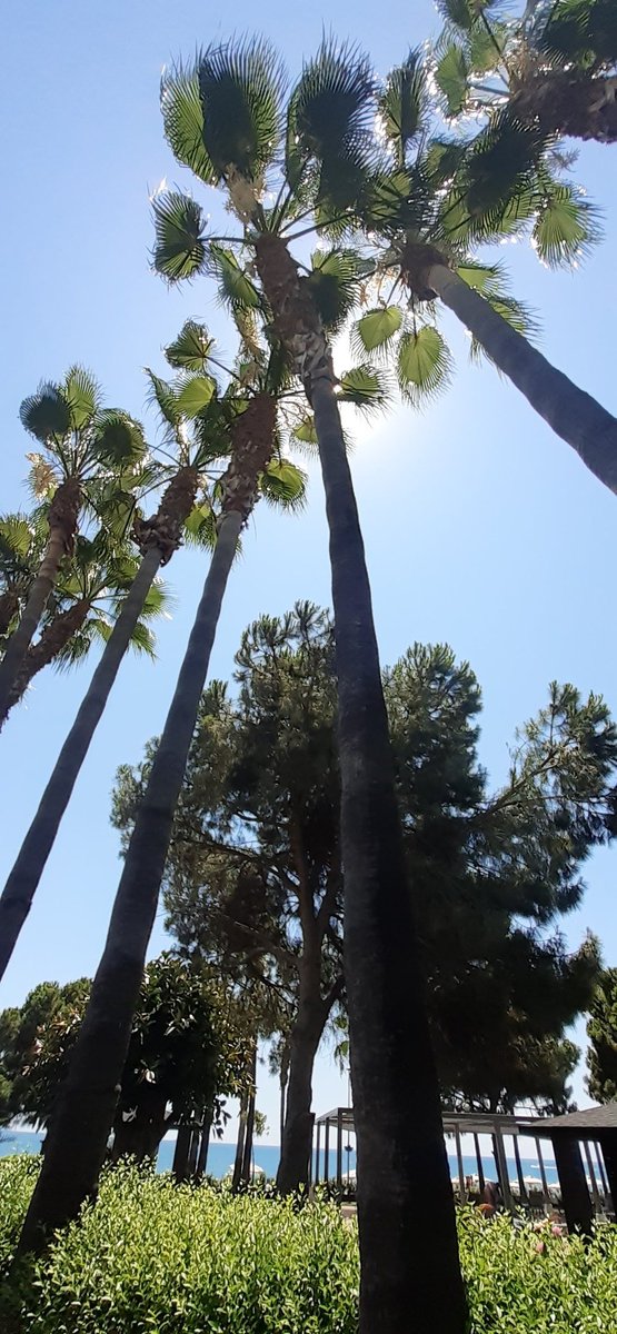 G&J Landscapes Ltd tweet media