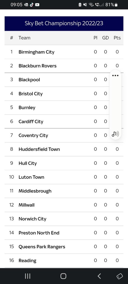 brumzig tweet picture