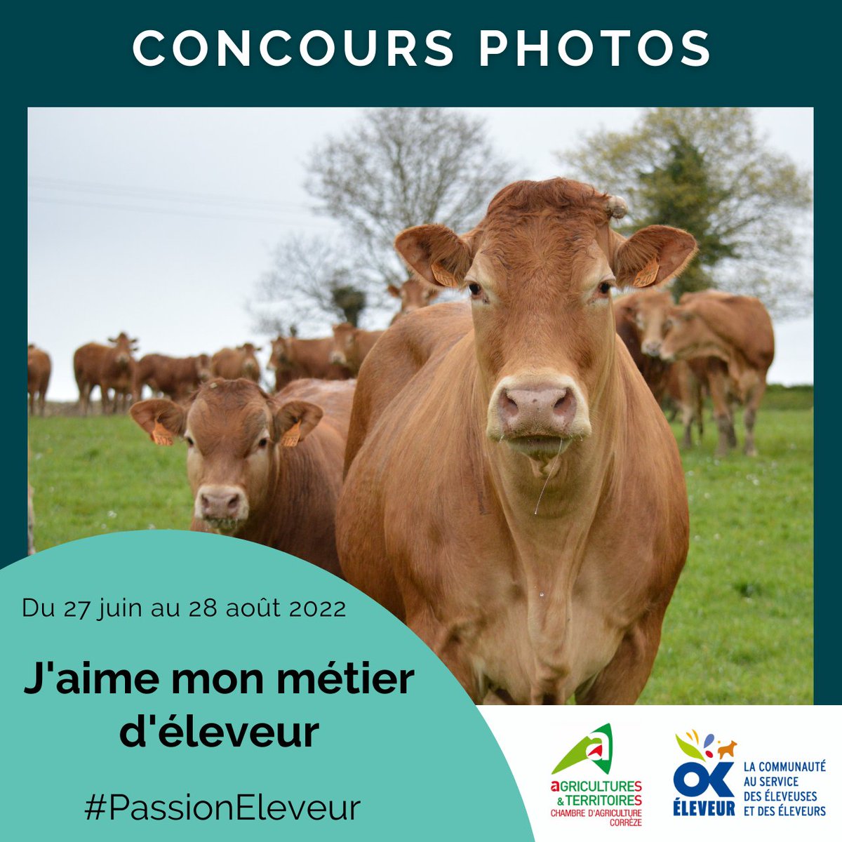 Concours 📸 | J'aime mon métier d'#éleveur
Organisé par <a href="/OkEleveur/">OK Eleveur</a> &amp; <a href="/chambagri19/">Chambre d'agriculture 19</a>
👉 Prenez en 🤳 votre cadre de travail avec vos animaux d'#élevage 🐑🐐🐄🐂
👉 Gagnez 1 an d’abonnement au choix :  <a href="/reussirpatre/">Réussir Pâtre</a> <a href="/ChevreMag/">La Chèvre</a> <a href="/BovinsViande/">Réussir Bovins Viande</a> ou <a href="/ReussirLait/">Réussir Lait</a> 
💻 cutt.ly/PKKeko5