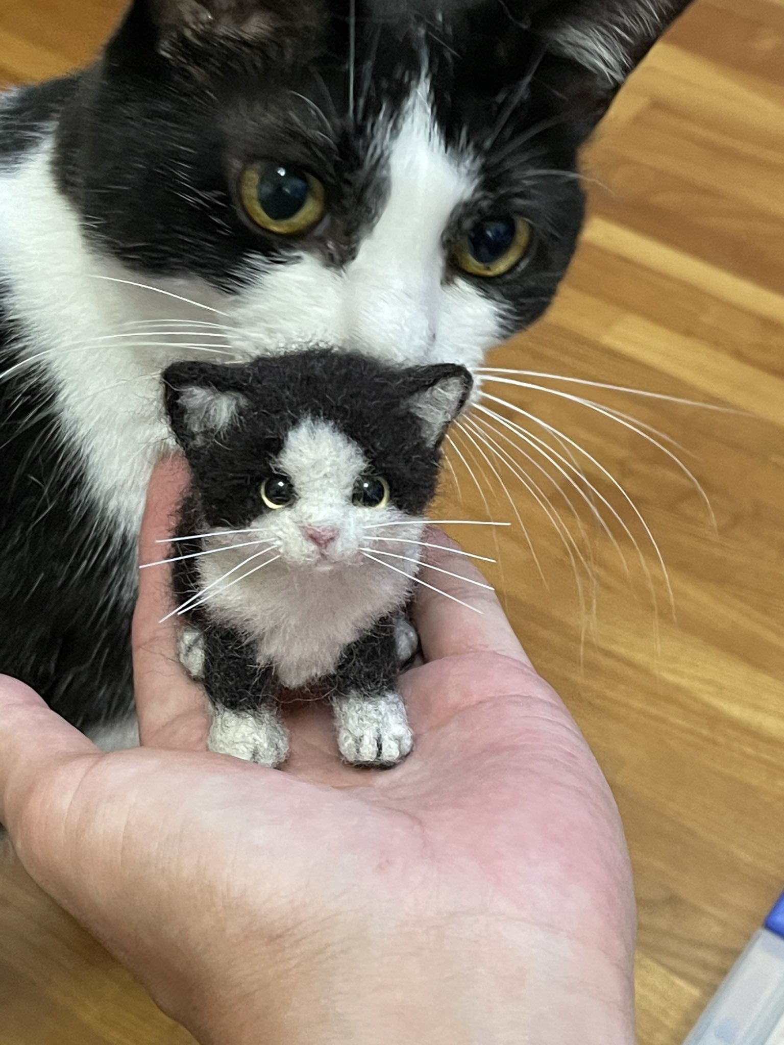 こるちゃ ハチワレ子猫さん 完成です ウチの猫も映ってしまいましたが 羊毛フェルト猫 ハチワレ子猫 かわいい 子猫 T Co Vcsaeekces Twitter