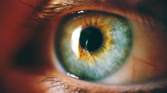 CentralOcular's tweet photo. El 50% de las personas con glaucoma no lo saben. Uno de los mayores problemas que presenta esta enfermedad es que no da síntomas fácilmente percibibles en su etapa inicial. ¡Por eso, la prevención es la mejor arma! #ojos #glaucoma #revision #vista #sintomas #centralocular https://t.co/7KIiatRCnT