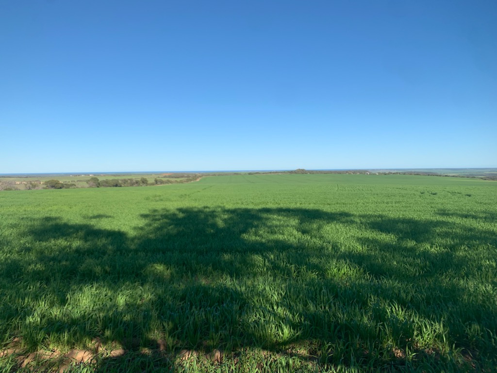 CallumJLove's tweet photo. These photos mark an important milestone for the Beyond Reasonable Drought project. It's the final demonstration in a series of 13 with YFIG, @LiebeGroup and @WMG_WA. Funded by the Future Drought Fund, result from these site will be updated and available on the @NACC_NRM website. https://t.co/NEl0mNUDmu