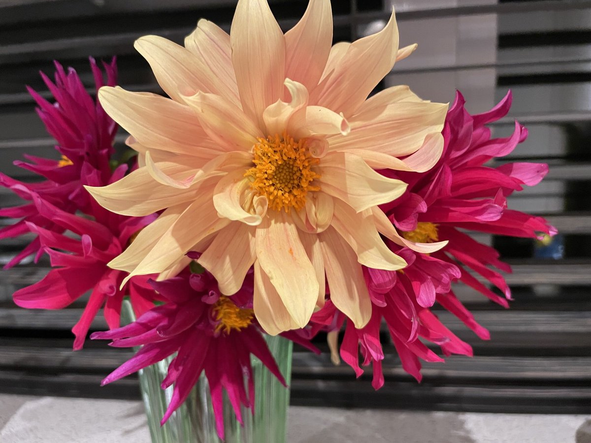 Our lovely judges and assessors are all set to visit all the flowery projects in Berks, Bucks and Oxon. We are looking forward to being out on the road again this July #community #gardens @RHSBloom