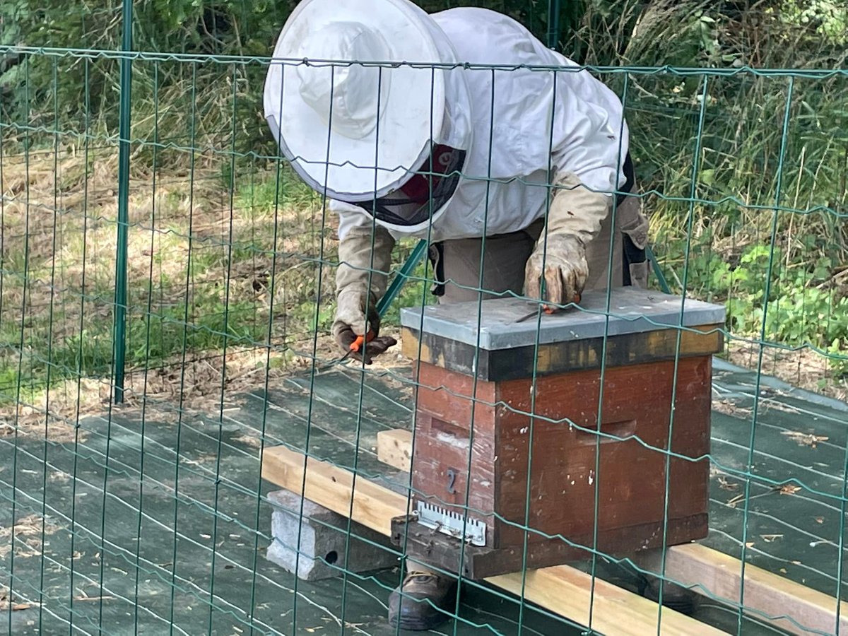 Une nouvelle #ruche a rejoint la commune de #Fayet Une très jolie initiative qui permet de sensibiliser les habitants au rôle essentiel de ces pollinisateurs Crédit photo : @fayet_de https://t.co/DfPSTtfsBi