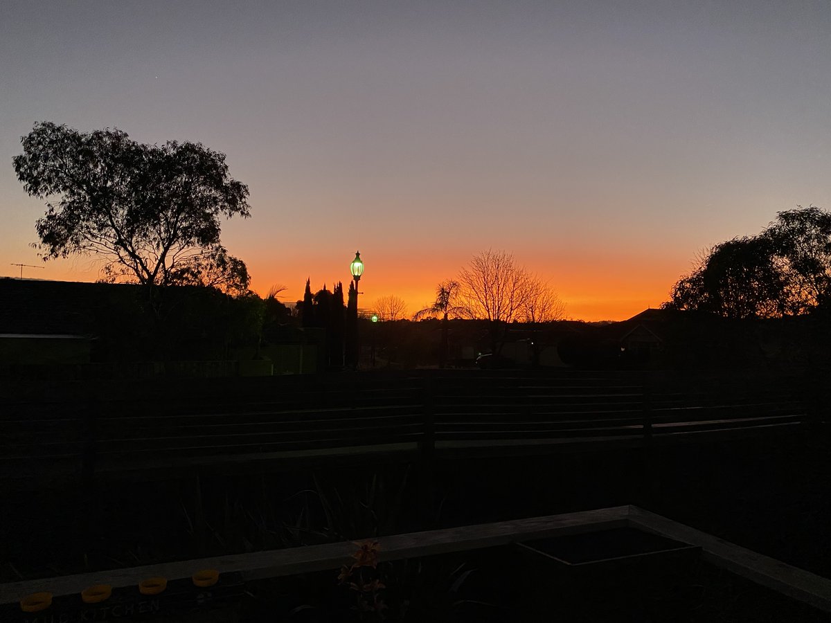 Alex Fisk tweet media