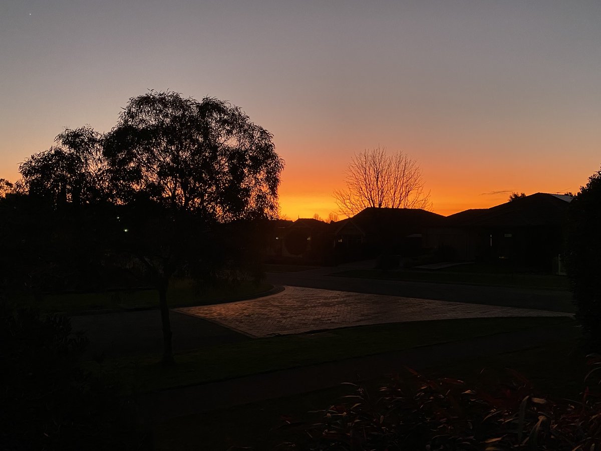 Alex Fisk tweet media