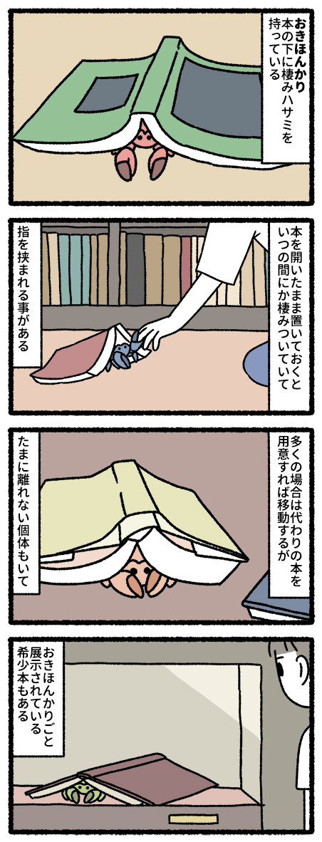 おきほんかり #ゆめのせいぶつ 