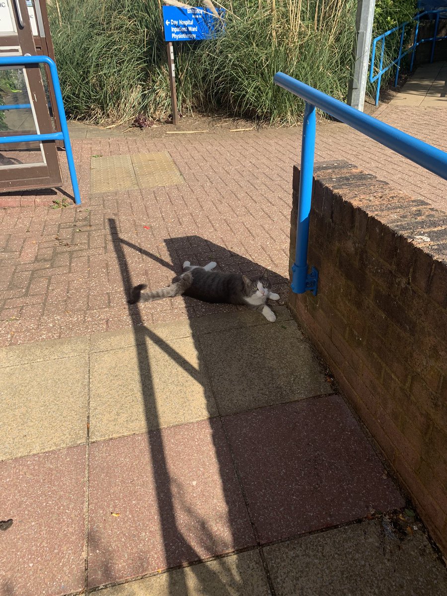 Neil Macdonald tweet media