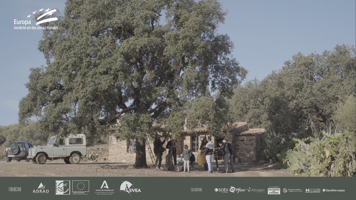 docuarbolvida's tweet photo. 📽 Os recordamos que hoy volvemos a proyectar 'El árbol de la vida' en el Teatro de Valverde a las 21 h. 

✅ La entrada es gratuita previa recogida de invitación en las oficinas del teatro hasta las 14h, o desde una hora antes en las taquillas. 

¡Os esperamos a todos! https://t.co/Mj78bbZ8aq