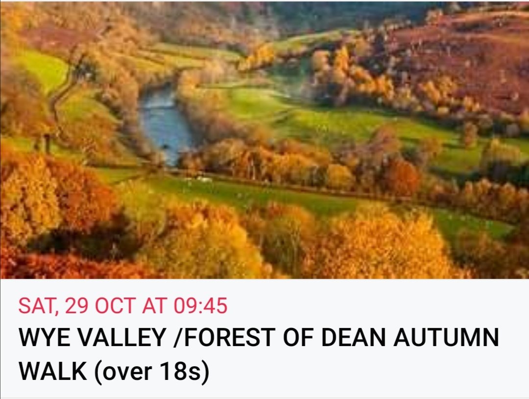 Booking link now live 🤗