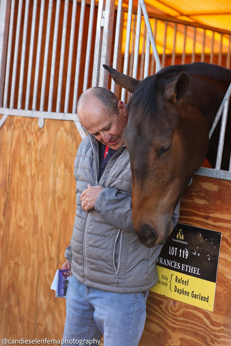 Mauritzfontein's tweet photo. IT'S BUZZING IN A SUNNY DURBAN!
The Bloodstock South Africa KZN yearling sale starts today, and there has been lively interest.  (Photos: Candiese Lenferna). #BSASALES #mauritzfonteinbreds #mauritzfontein https://t.co/iJfAauw0bm