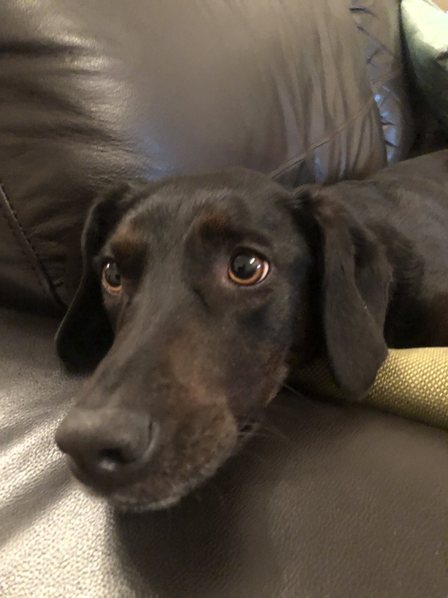 EOFY. Thank goodness!