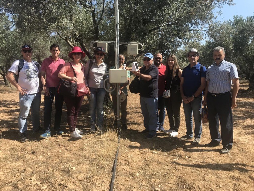 Nuestros investigadores de Entomología Agrícola participan en la formación de <a href="/fruitflynet2/">FruitFlyNet-ii</a> sobre trampas electrónicas en Grecia @ENICBCMed 

Continuamos avanzando en la lucha contra la mosca del olivo 🫒🪰💪

✍️Noticia completa 👉uco.es/agronomia/es/n…