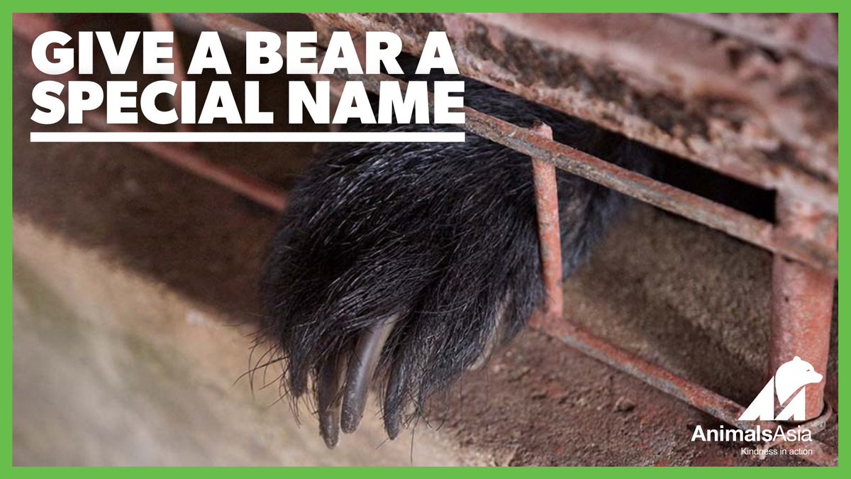 AnimalsAsia's tweet photo. Do you believe every abused bear deserves love, kindness and a name?

If this sounds like you then the Animals Asia Bear Rescue Team needs your help to give a No-Name Bear his or her first-ever name.

Add your suggestion: https://t.co/c1eHgLLLJ2

#NoBearLeftBehind#Give #Donate https://t.co/SfyjxaO721