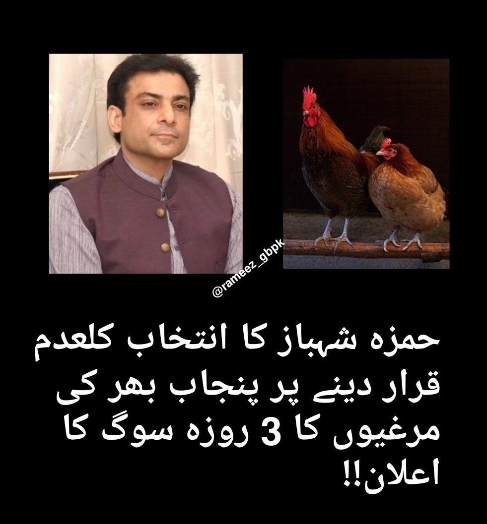 Rameez 🇵🇰 🇬🇧 tweet media