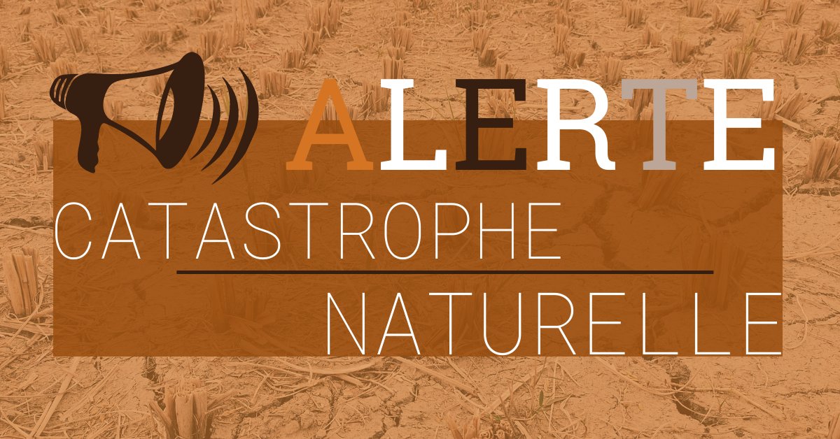 ⚠️ALERTE : Des nouvelles communes reconnues dans un arrêté de catastrophe naturelle | URETEK® bit.ly/3bEjqsX
#URETEK #secheresse #fissures #catnat