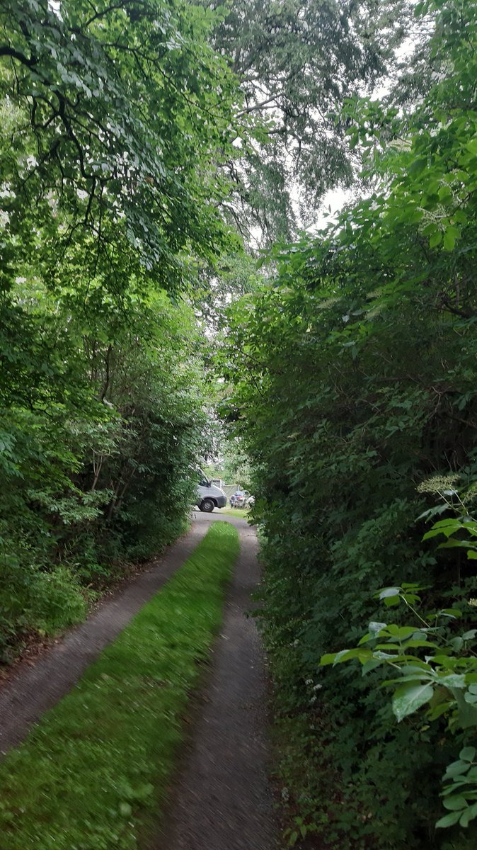 @clonmelapplefest (@clonmelapplefe1) on Twitter photo magical visit to <a href="/DrinkTheHedge/">Irish Hedgerow</a> in Newcastle as part of <a href="/printvango/">Print Van Go</a> residency at 7 <a href="/tippfood/">Tipperary Food Producers</a> producers. a true #meadowofhoney #biodiversity packed land of plenty just outside #cluainmeala #applefest2022 #buzzingwithlife magical visit to <a href="/DrinkTheHedge/">Irish Hedgerow</a> in Newcastle as part of <a href="/printvango/">Print Van Go</a> residency at 7 <a href="/tippfood/">Tipperary Food Producers</a> producers. a true #meadowofhoney #biodiversity packed land of plenty just outside #cluainmeala #applefest2022 #buzzingwithlife