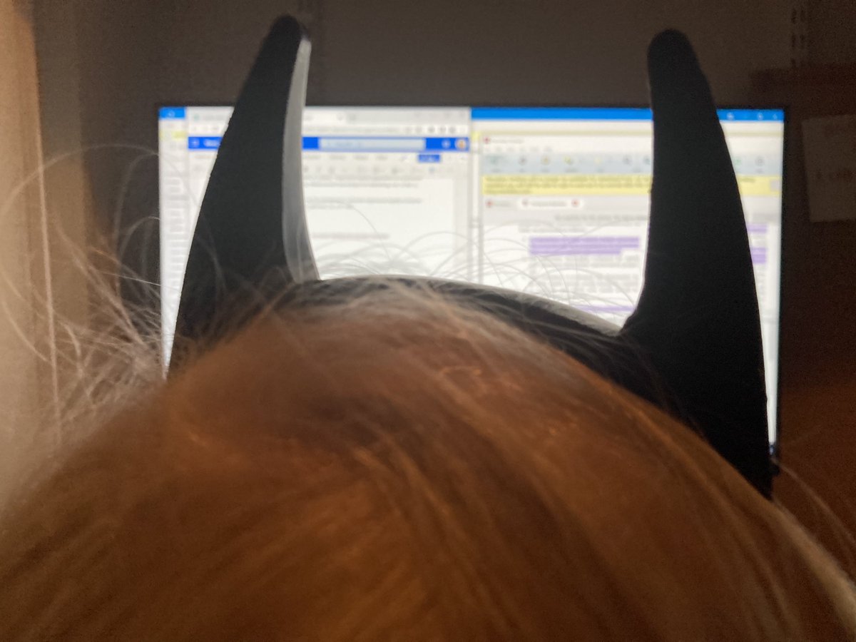 Kirjoitusseuraksi tupsahti yhtäkkiä itse Batwoman.