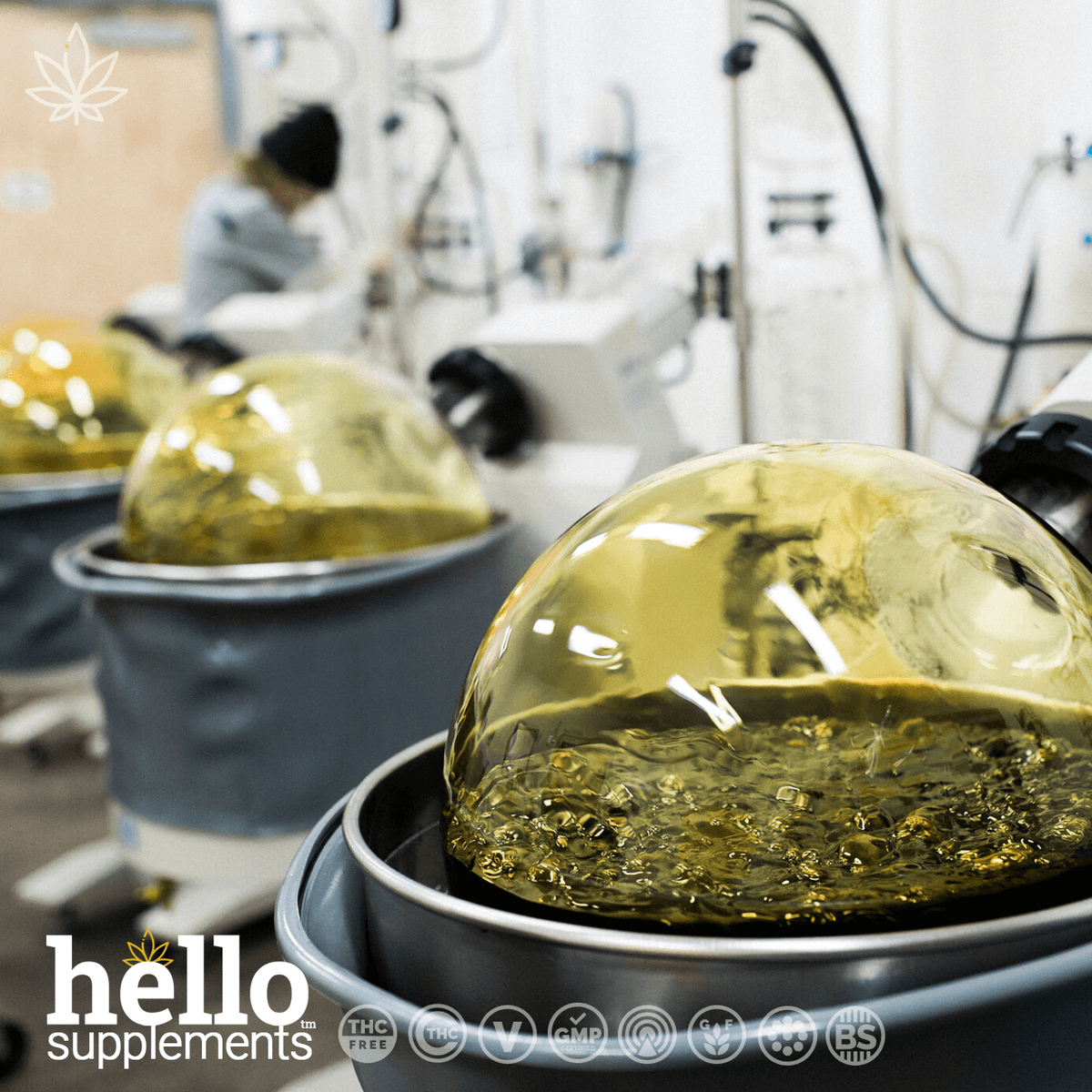 hellosupps's tweet image. 🟢 Supercritical C02 CBD Extraction 
All of our products are made using a whole-plant supercritical CO2 extraction. This means there are no harsh chemicals with a minimal breakdown of those precious cannabinoids or terpenes during the extraction process.