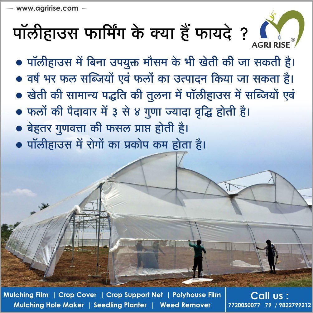 agririse's tweet photo. #पॉलीहाउस 👨🏻‍🌾 #फार्मिंग के क्या हैं फायदे? 📈🤩

#polyhouse #polyhousefarming #polyhousefarmer #farmer #ॲग्रीराईज #ProtectiveFarming #मल्चिंग #Agririse #nashik #niphad #surat #lasalgaon #maharashtra https://t.co/1h1uMoJYkV