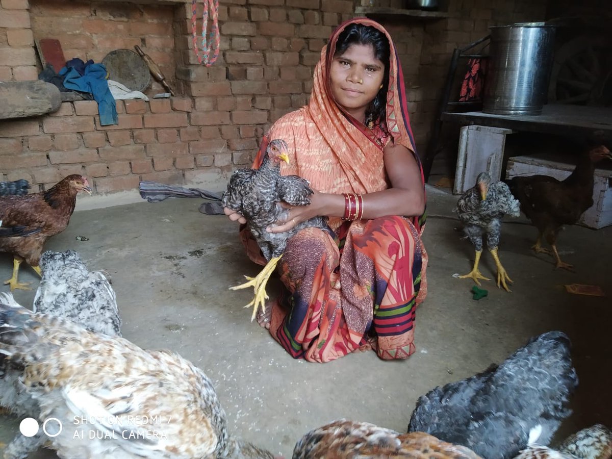 prashanshagupt5's tweet photo. These women entrepreneur from Bundelkhand districts believes in " hard work, patience and self belief is the way to success"
@FundlaCaixa @AxSolidaridad @C9Khalid @dipalisharma02 @sndeep @psushila92 @prk_2016 @ActionAidIndia
#Work4ProgresslaCaixa
#50YearsOfAAIndia
#AAIndiais50 https://t.co/MMkkQpFWNc