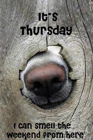 It's Thursday!  Do you have your weekend plans? 

#Thursday #weekendahead #weekendplans #dogs #petsarefamily #dogwriters #dogbloggers #happy #smile #wegotthis