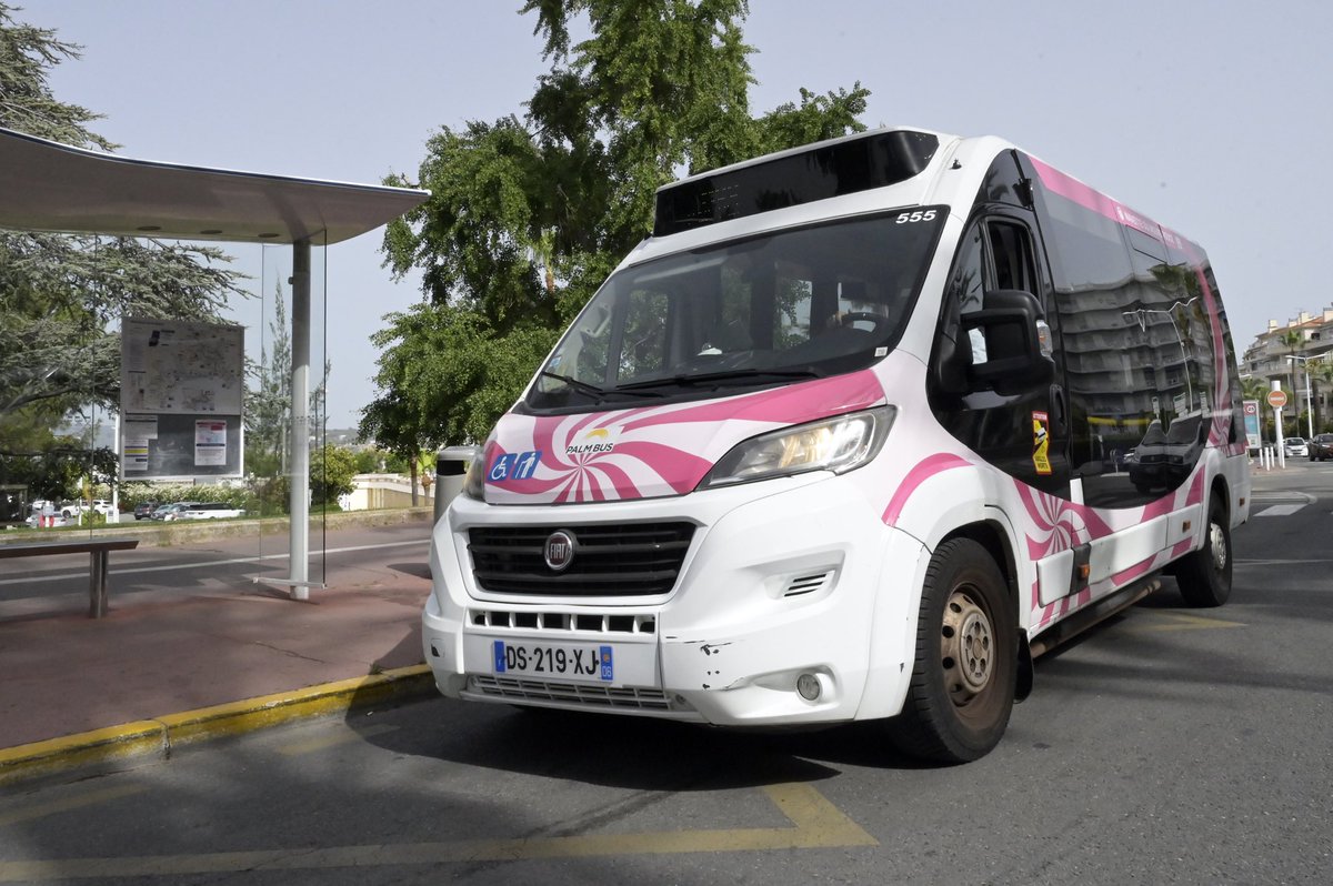 CACPLOfficiel's tweet photo. 📍 Retour des navettes estivales à #CannesLérins, dans le cadre de la prise en charge financière par les communes membres, à savoir :

🚎 #BoccaCabana et #MouréRouge,
🚎 #MimoPlage et #LaLittorale,
⛵️ #NavetteMaritimeEsterel.

Infos 👉 https://t.co/VmqVVxxMmx https://t.co/YmS34dy8L0