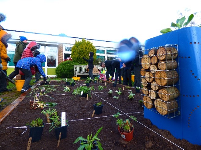 Buzz_dont_tweet's tweet photo. ...and some before &amp; after images of the #Pollinator Garden at #Worfield Primary School.
🌻
The #Severn #BLines project may be over but the legacy will continue; you can still create your #PollinatorPatch &amp; add it to our B-Lines Map 

Find out how👇
https://t.co/DH0MgojZDJ https://t.co/iAFlGhiu6i