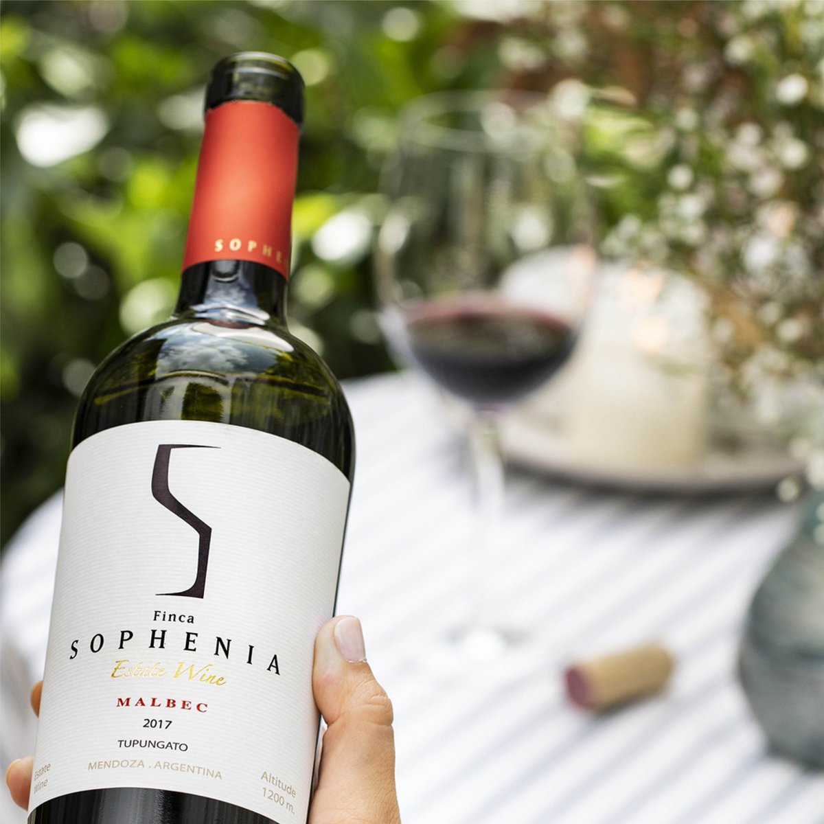 HURRY ⏰ Last remaining tickets available for tonight!

We are thrilled to welcome Juan Ponce, from Finca Sophenia to our tasting room in Crossgar on Thursday, June 30th from 7-9pm.

Get your tickets here > jnwine.com/event-tickets