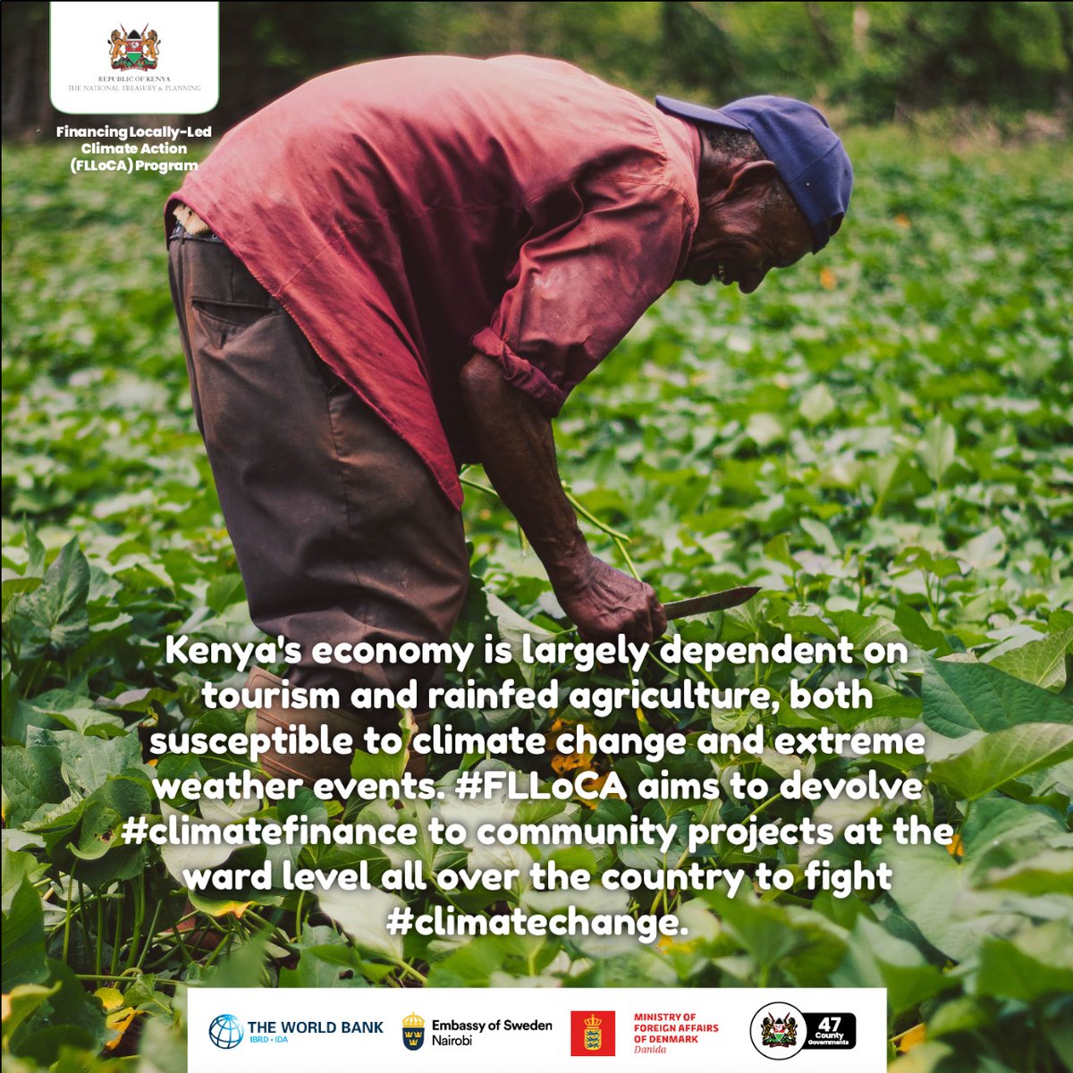 climate_ke's tweet photo. Kenya's economy is largely dependent on tourism and rainfed agriculture, both susceptible to climate change and extreme weather events. #FLLoCA aims to devolve #climatefinance to community projects at the ward all levels over the county to fight #climatechange. #climatecation https://t.co/bsDySxTB1c