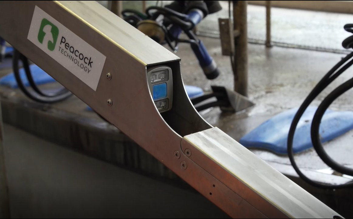 peacock_tech's tweet image. Want to see our IDS Teat Robot in action?🐮

Improve your cows wellbeing with our controllable, reliable and convenient solution. 

Follow this link to our website and see exactly how it works. 

peacocktechnology.com/en/idsteat 

#peacocktechnology #IDSteat #kukarobotics #Automation