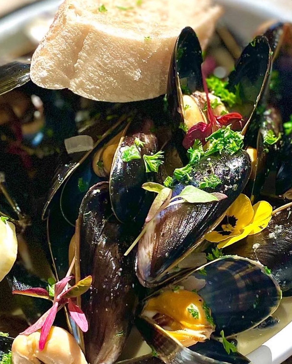 Northern Sole tweet media