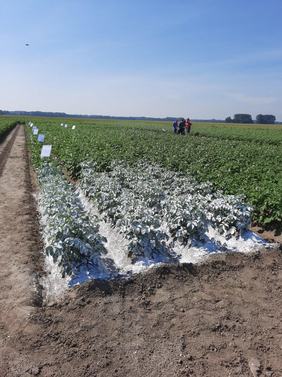 Johan Wander tweet media