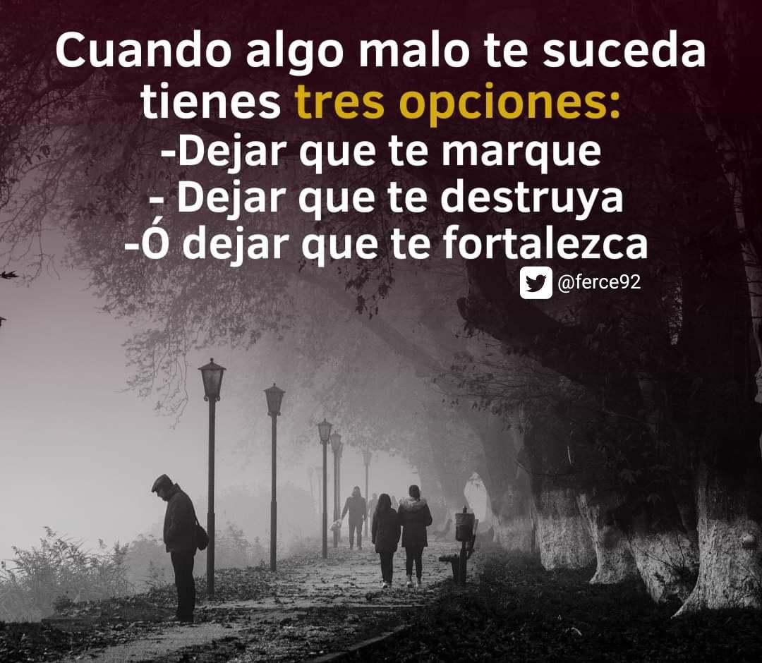 Fernando tweet media
