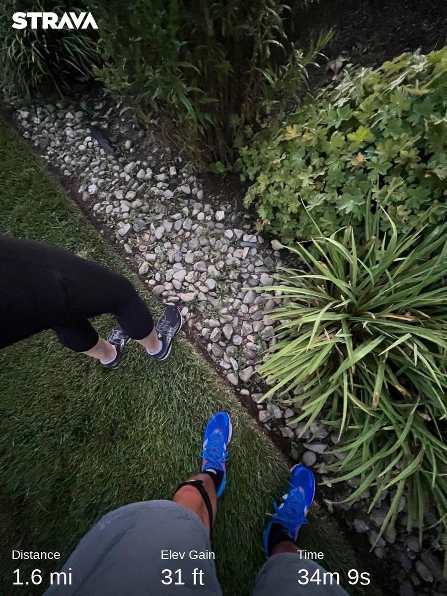 loclloyd's tweet photo. Misty morning Walk With Jen⦠#mistymorning #amworkout #walking #sunrise #couplefitness https://t.co/QaxbQTHrYa