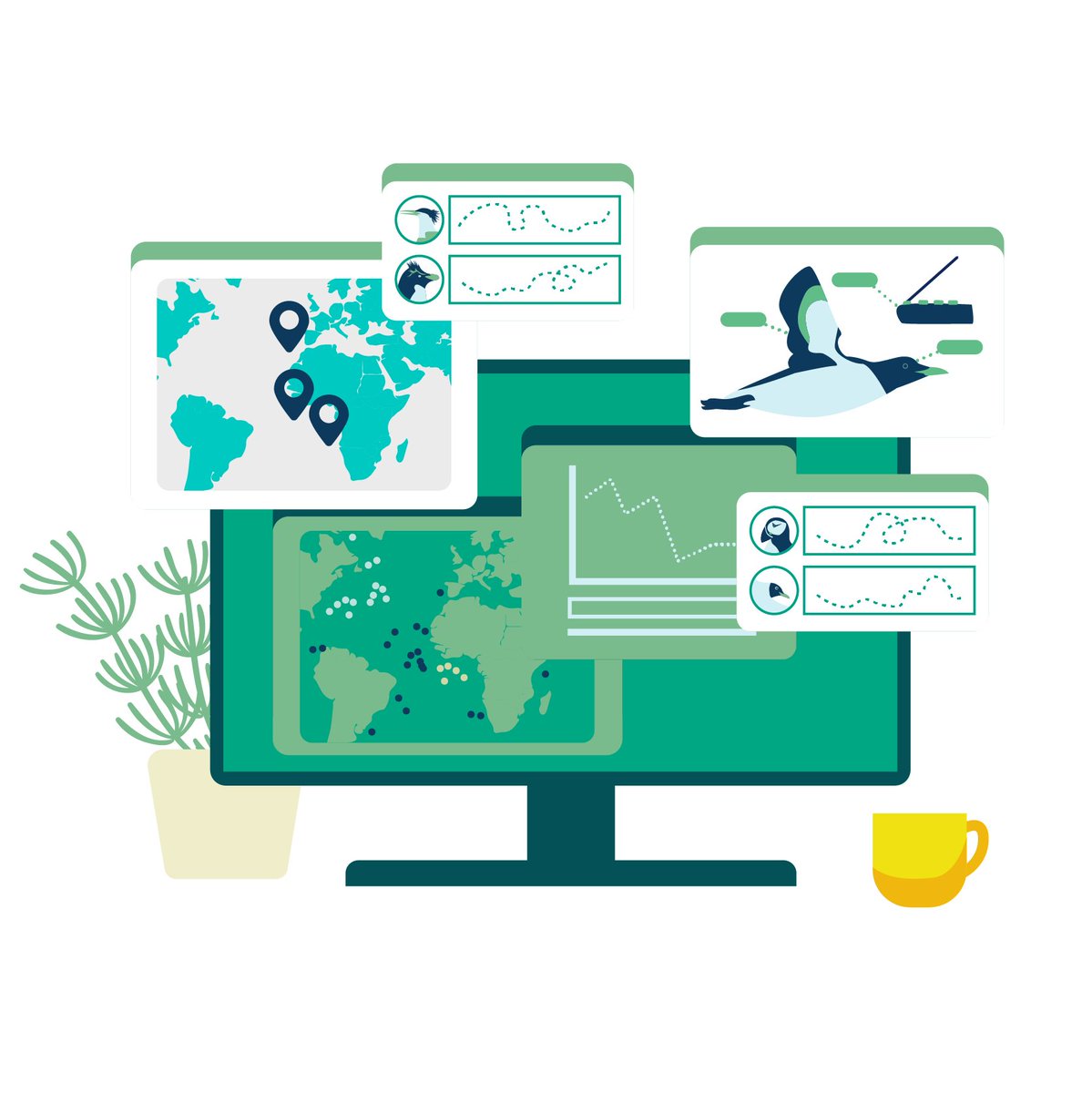 BirdLife Marine tweet media