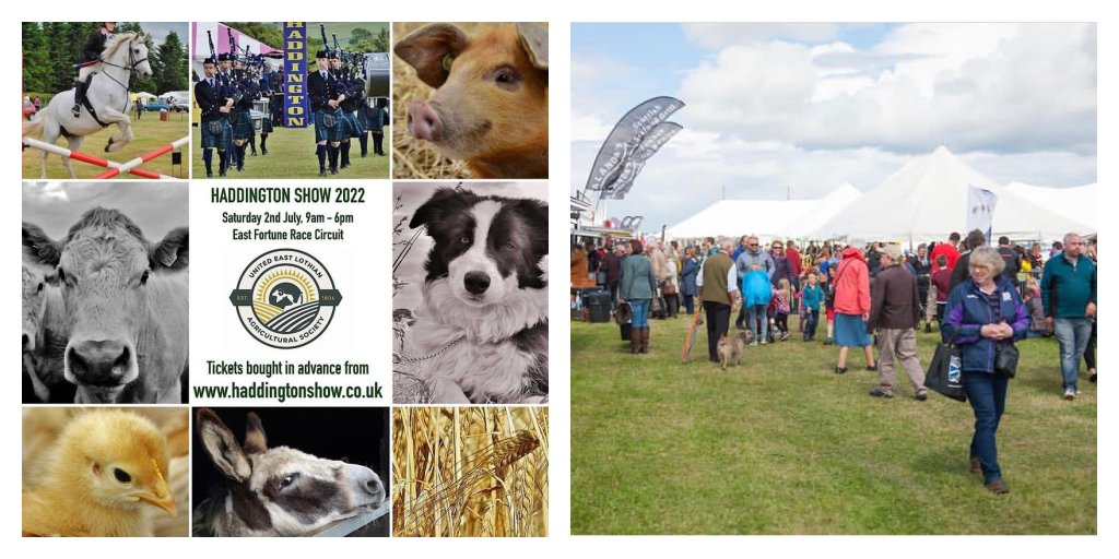 SOLEScotland's tweet photo. πππ΄ Are you attending the #HaddingtonShow on Saturday?
Jemma & Rhona from the SOLE team will be there & would love to say hi. π
We'll be easy to spot in our purple SOLE t-shirts, so why not visit our stand to find out about the SOLE app & claim a free goodie bag.
#Haddington https://t.co/m9AKy2CfG1