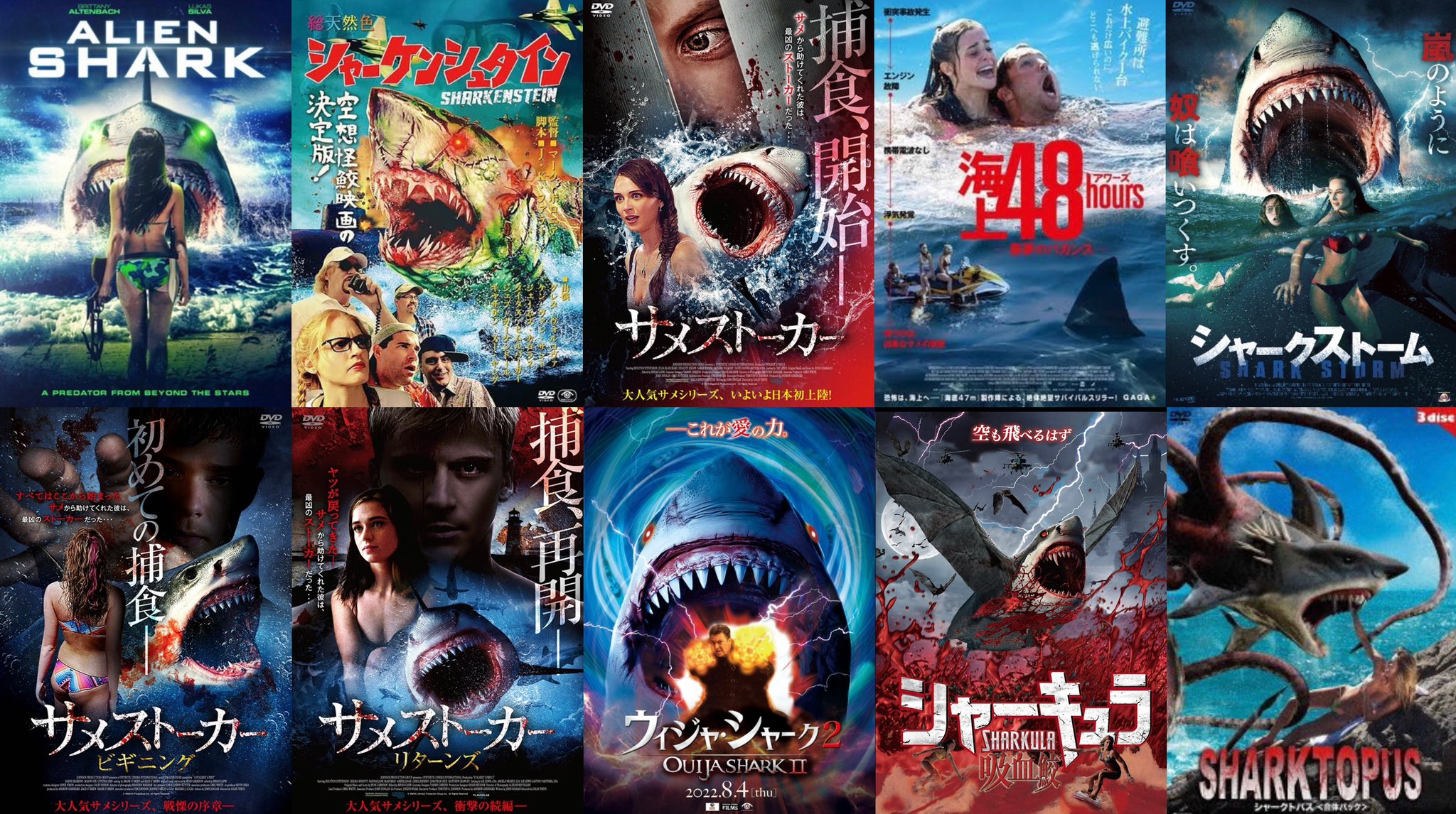サメ映画ルーキー on X: