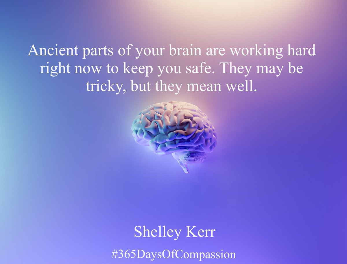 Day 181 #365DaysOfCompassion

Words by <a href="/DrShelleyK/">Shelley Kerr</a> , image Unsplash