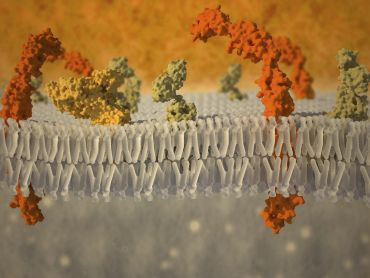 Oxford Impacts (@oxengage) on Twitter photo Today is <a href="/rarediseaseday/">Rare Disease Day</a>. Read how <a href="/omasstx/">OMass Therapeutics</a>, is using new technologies to develop treatments for rare immunological and genetic diseases. 🔬 ox.ac.uk/research/resea… @OxSciences <a href="/SynconaLtd/">Syncona</a> <a href="/innovateuk/">Innovate UK</a> <a href="/OxfordChemistry/">Oxford Chemistry</a> <a href="/WolfsonCollege/">Wolfson College, Oxford</a> #OxfordImpacts #SDG3 Today is <a href="/rarediseaseday/">Rare Disease Day</a>. Read how <a href="/omasstx/">OMass Therapeutics</a>, is using new technologies to develop treatments for rare immunological and genetic diseases. 🔬 ox.ac.uk/research/resea… @OxSciences <a href="/SynconaLtd/">Syncona</a> <a href="/innovateuk/">Innovate UK</a> <a href="/OxfordChemistry/">Oxford Chemistry</a> <a href="/WolfsonCollege/">Wolfson College, Oxford</a> #OxfordImpacts #SDG3