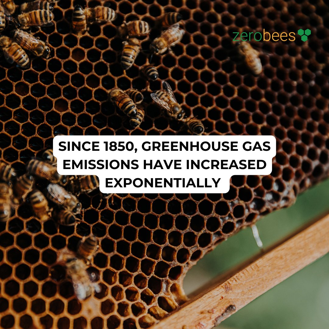 The major outcome to date is a 1.2°C increase in global temperature between 1850 and the current date.

We need to change now. We all have a part to play.

Want to lower your company's carbon footprint? Let us help you! 
#Zerobees #climatechange #risingtemperature #globalwarming