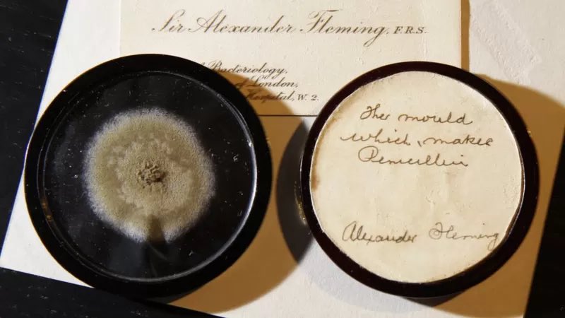 Samples of penicillin mould, signed and inscribed by Sir Alexander Fleming, who discovered it in 1928