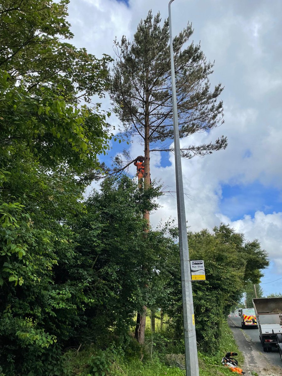 EAFormby's tweet photo. We worked recently to remove dangerous Pines from a roadside. It's a shame to remove a healthy tree, but you have a responsibility that your trees are safe.
If you have trees that you would like us to look at, give our office a call on 01704 840 063
#arb #arblife #treesurgeon https://t.co/nTPWqy0Fd8