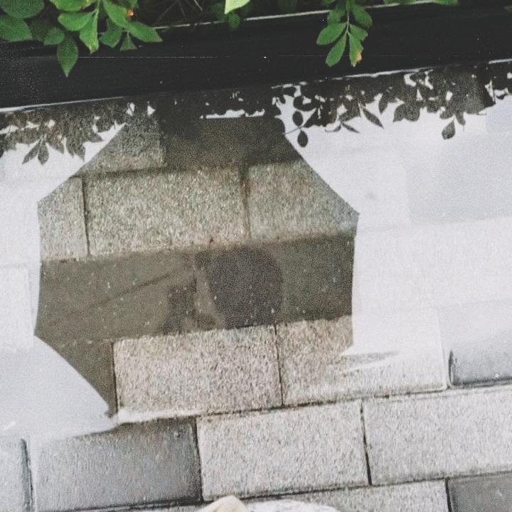 lswfilms's tweet photo. 🌱 — you are worth the wait https://t.co/JBoMrqmrue